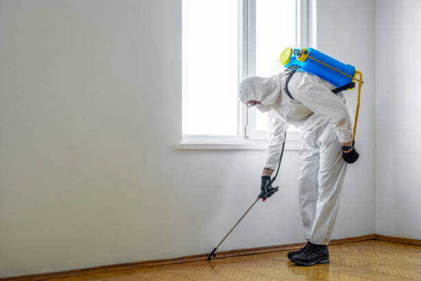 Professional Pest Control in Sullivan, IN