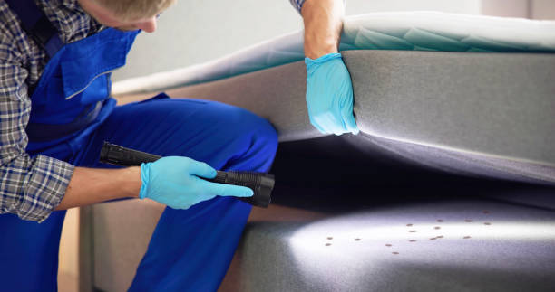 Pest Control for Restaurants in Sullivan, IN