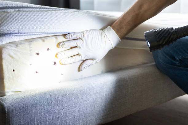 Best Affordable Pest Control Services  in Sullivan, IN
