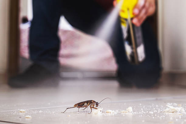 Flea Control Services in Sullivan, IN
