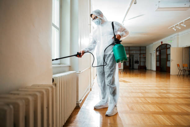 Best Flea Control Services  in Sullivan, IN